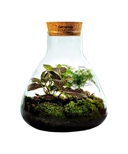 product details image
