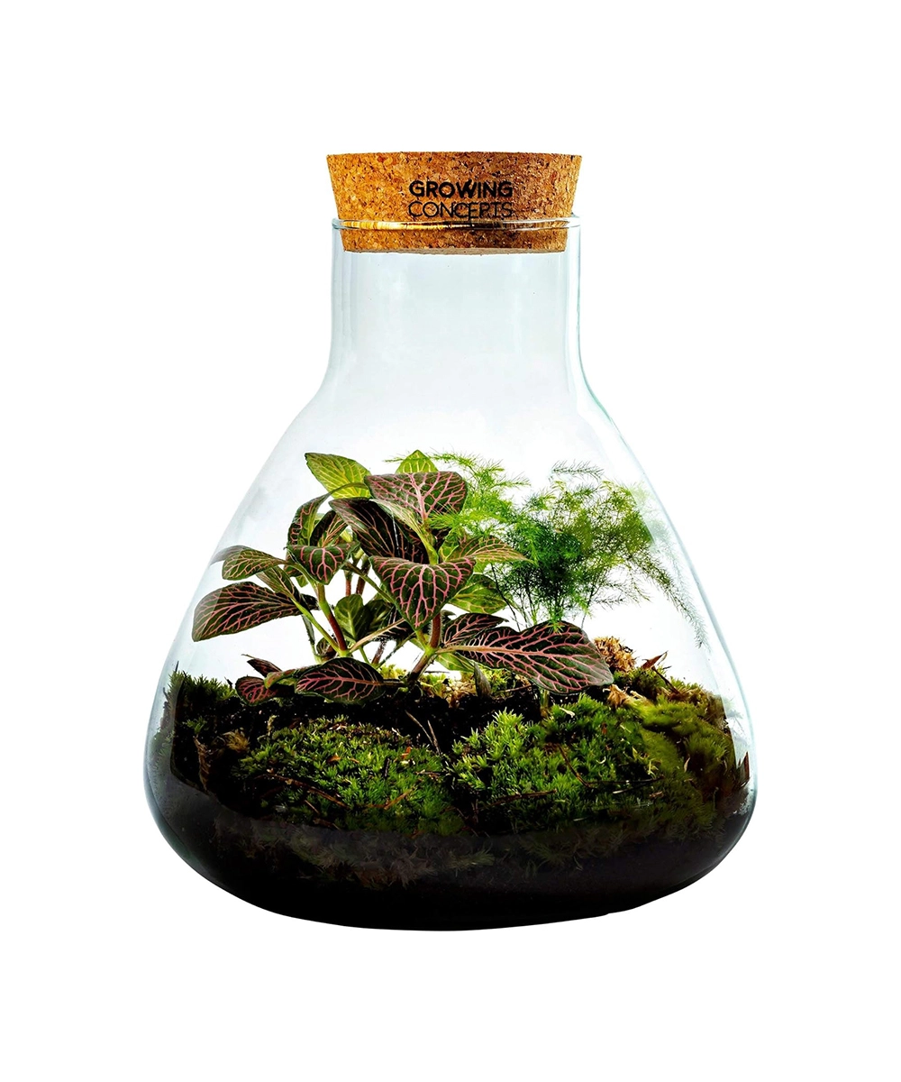 product details image