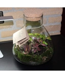 product details image