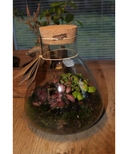 product details image