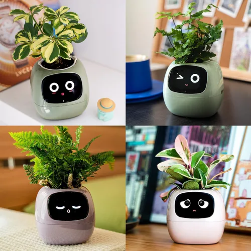 product details image