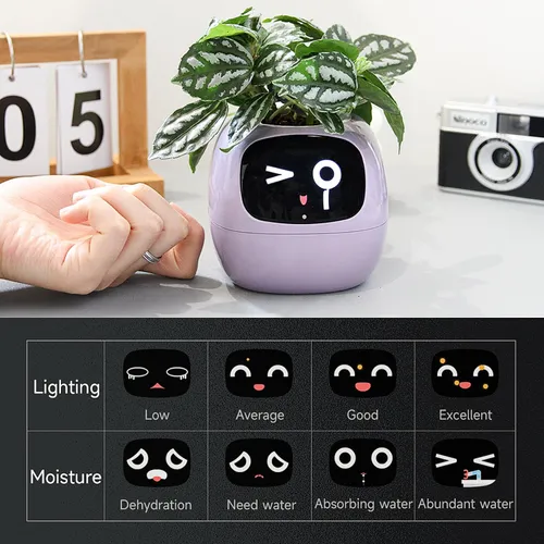 product details image