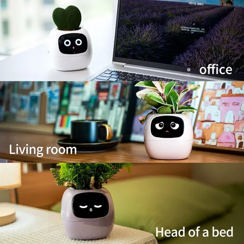 product details image