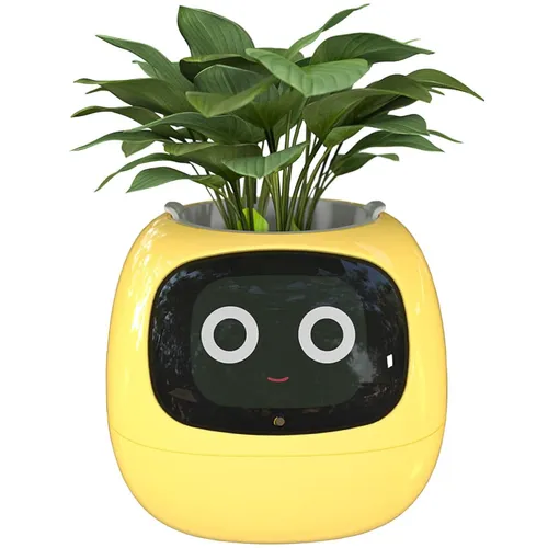 product details image