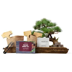 Thumbnail image of Bonsai kweekset