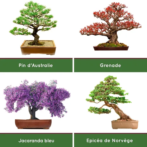 product details image