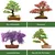 product details image
