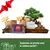 product details image