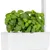 product details image