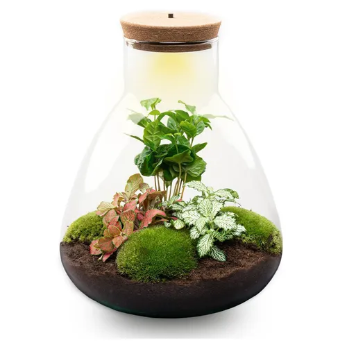 product details image