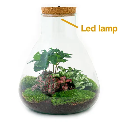 product details image