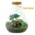 product details image