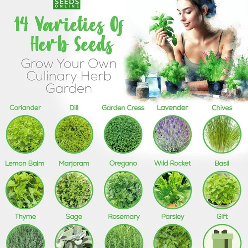 product details image