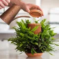 Thumbnail image of Hydrocultuur bloempot van terracotta