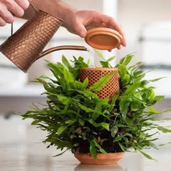 Thumbnail image of Hydrocultuur bloempot van terracotta