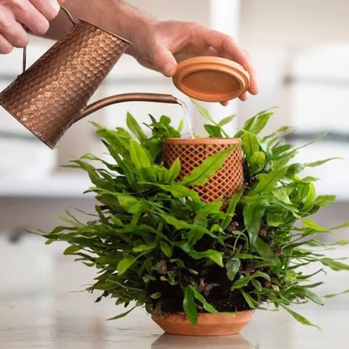 product details image