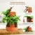 product details image