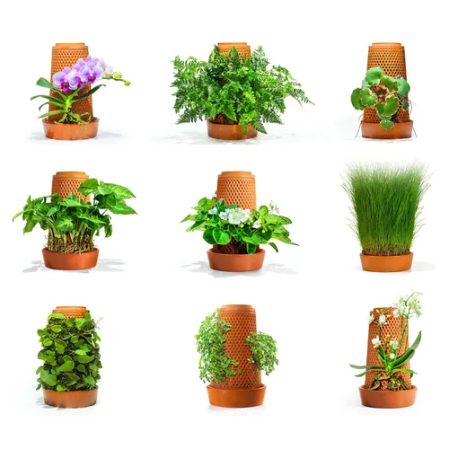 product details image